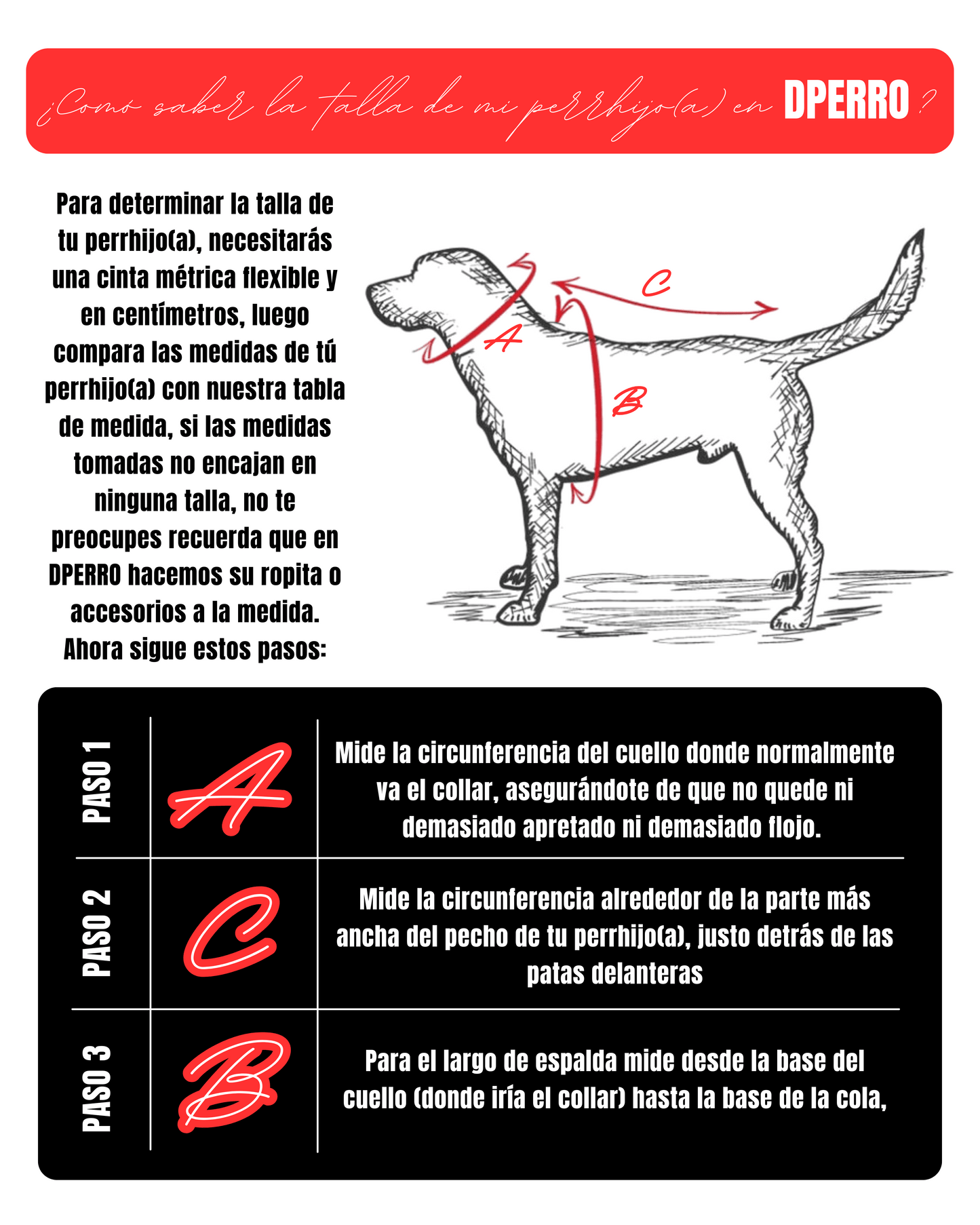 Parka Impermeable Talla M