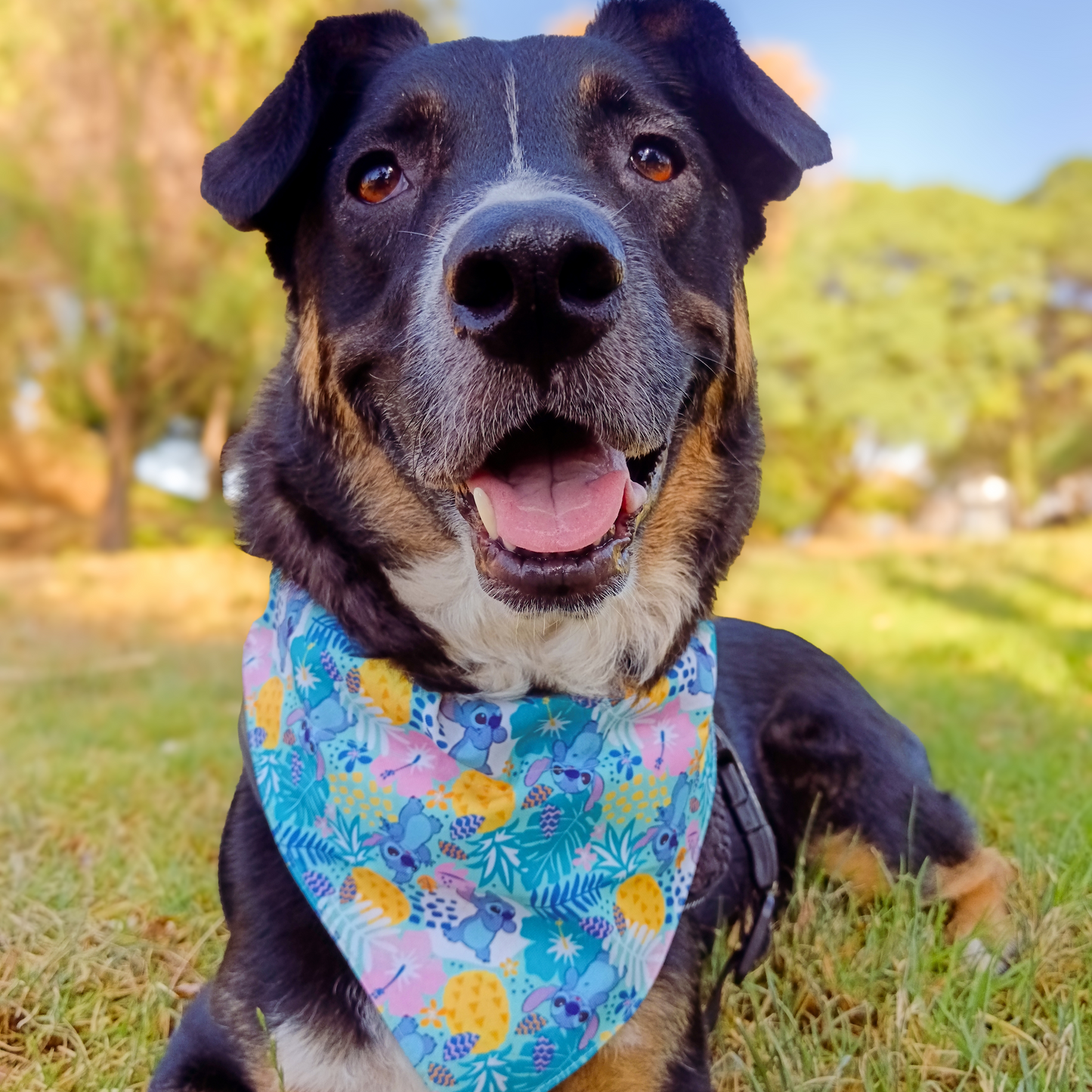 Bandana Stitch Piña Talla M