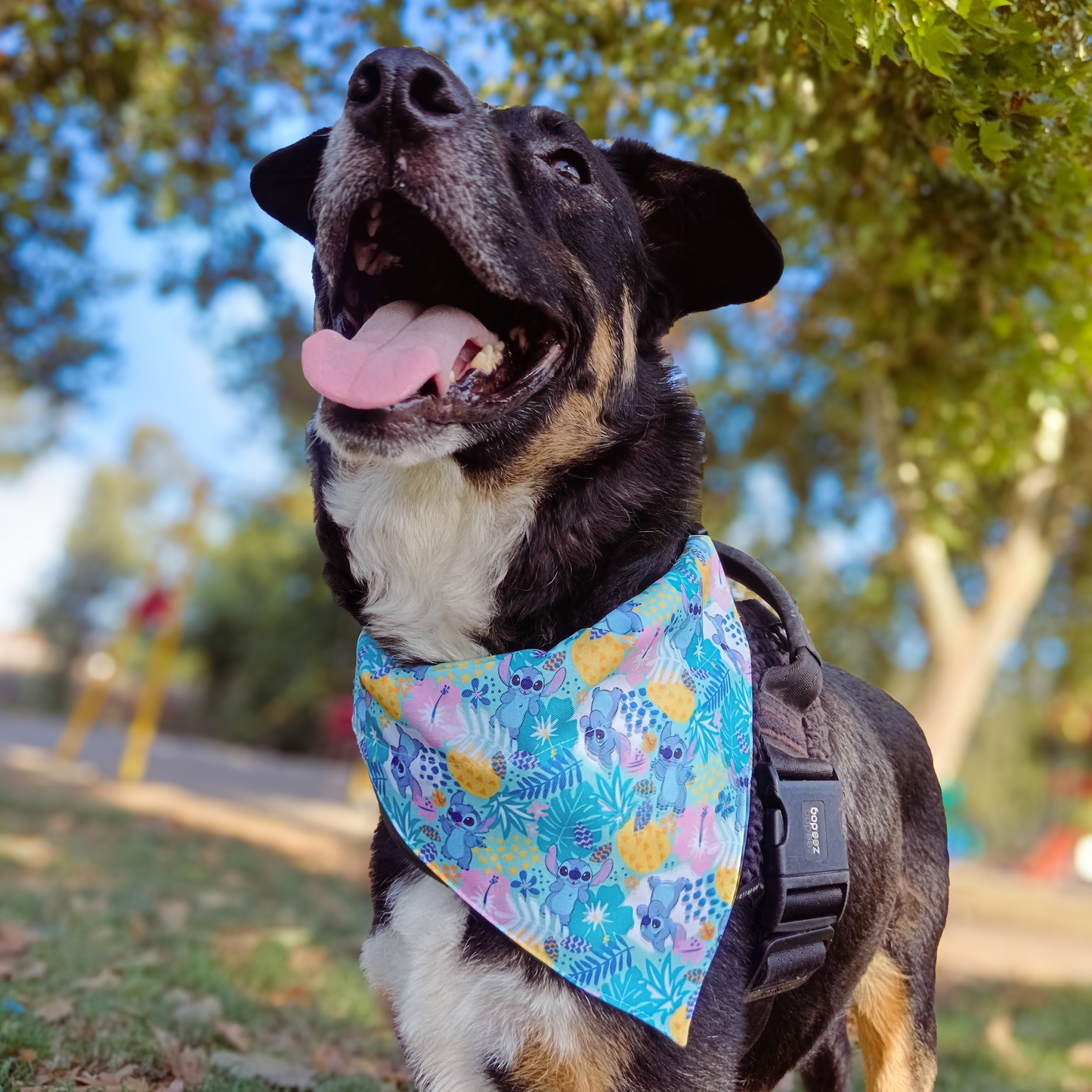 Bandana Stitch Piña Talla M