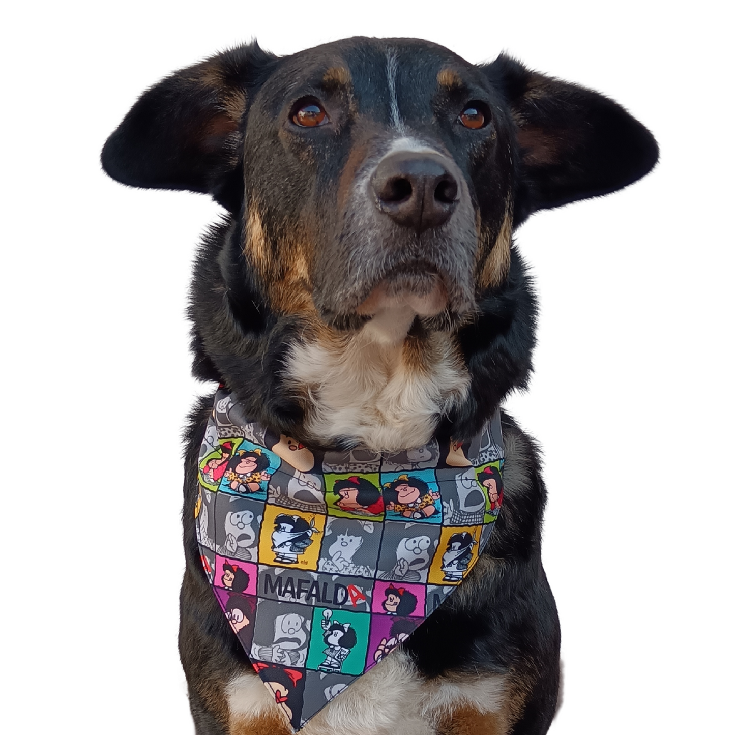 Bandana Mafalda Talla S