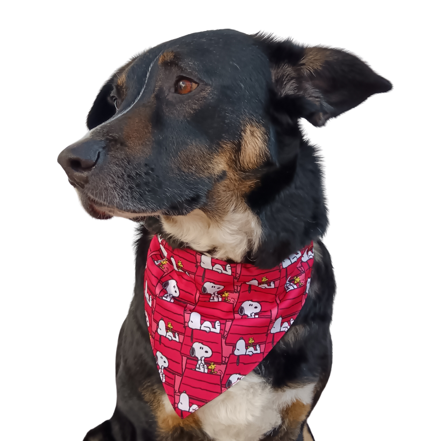 Bandana Snoopy Rojo Talla S