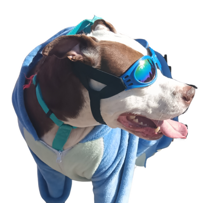 Lente Motoquero Azul