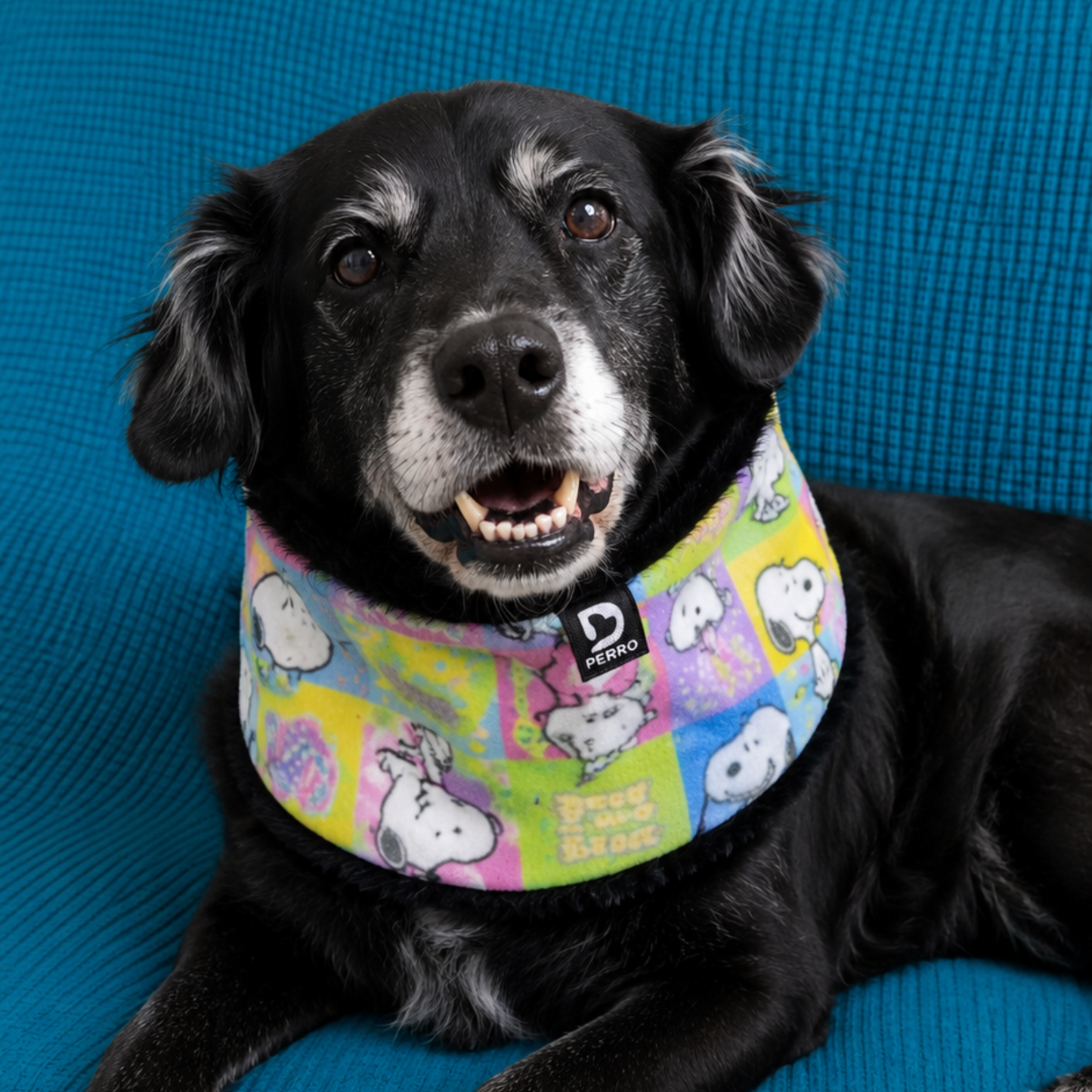 Cuello de perro Sherpa Polar Snoopy Multicolor Talla M